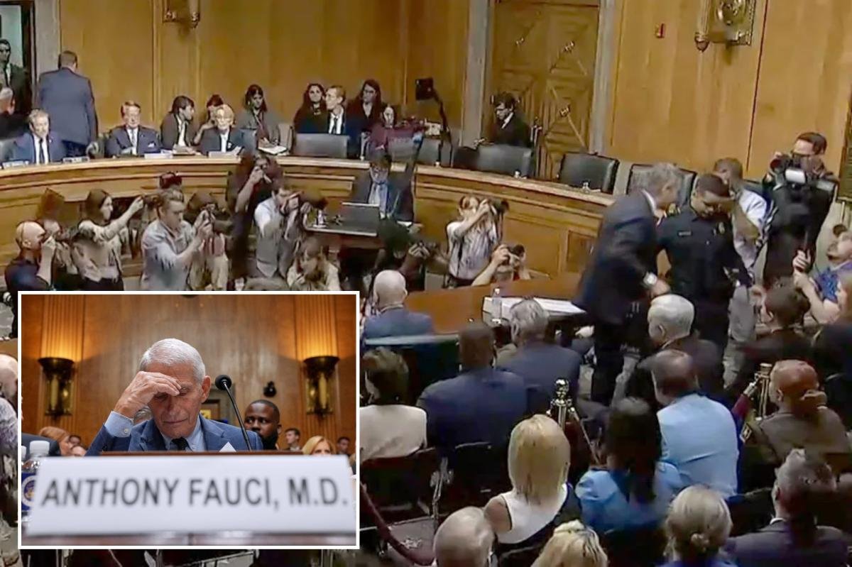 You are currently viewing Sen. Rand Paul has Fauci’s attorney thrown out of hearing