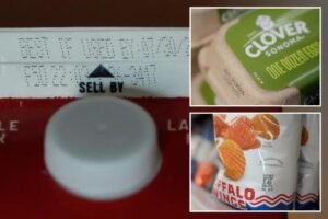 Read more about the article Food past its expiration dates is still perfectly good to eat: health experts