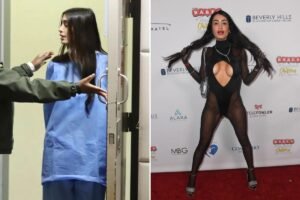 Read more about the article Penthouse Pet’s Coachella crime spree revealed as she’s seen for first time in jailhouse gown