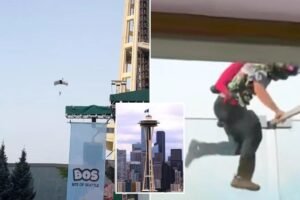 Read more about the article Daredevil BASE jumpers spark Space Needle scare after pulling off illegal stunt
