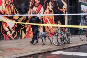 Read more about the article Dogs aren’t just man’s best friend â NYPD’s K9 unit helps keep NYC safe