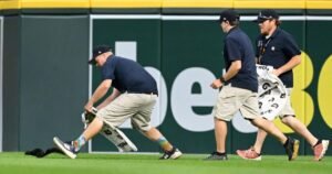 Read more about the article Orioles-Tigers game interrupted by speedy, elusive squirrel leading ground crew on epic chase
