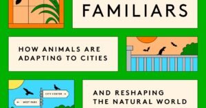 Read more about the article That coyote down your street? It’s trapped in the city. This book explains how