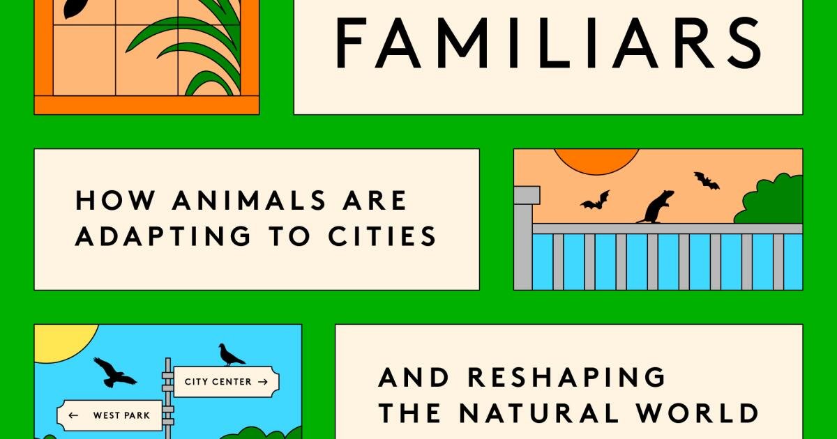 You are currently viewing That coyote down your street? It’s trapped in the city. This book explains how
