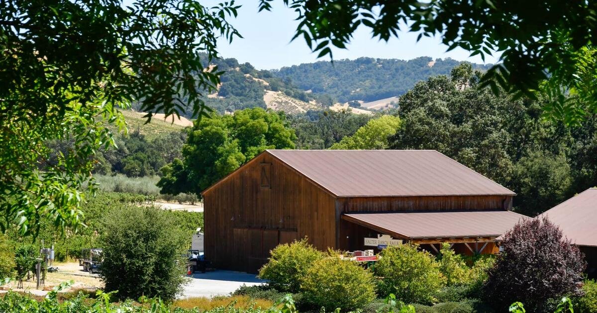 You are currently viewing Paso Robles goes chic: 17 new things to do this fall