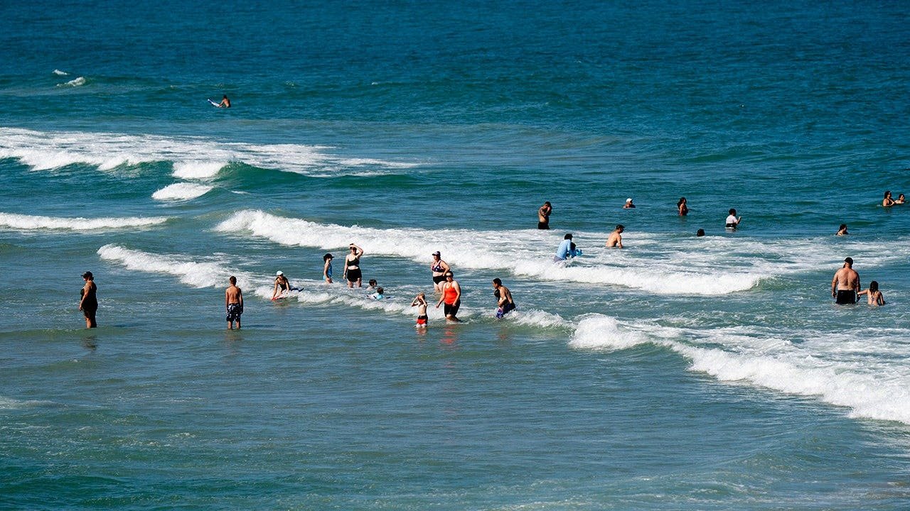You are currently viewing Blacktip sharks expanding migration range to Long Island, study says
