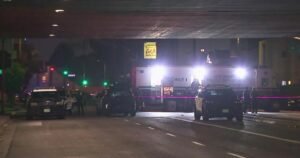 Read more about the article LAPD fatally shoots man swinging bat at cars near freeway onramp, officials say
