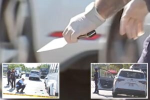 Read more about the article Maniac repeatedly stabs man with meat cleaver during early morning road-rage clash in Queens: sources