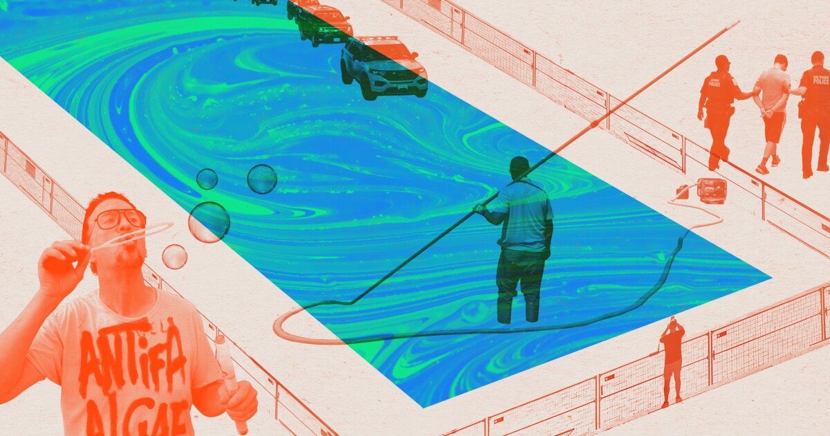 Read more about the article People are watching the Reflecting Pool like reality TV. What does that say about us?