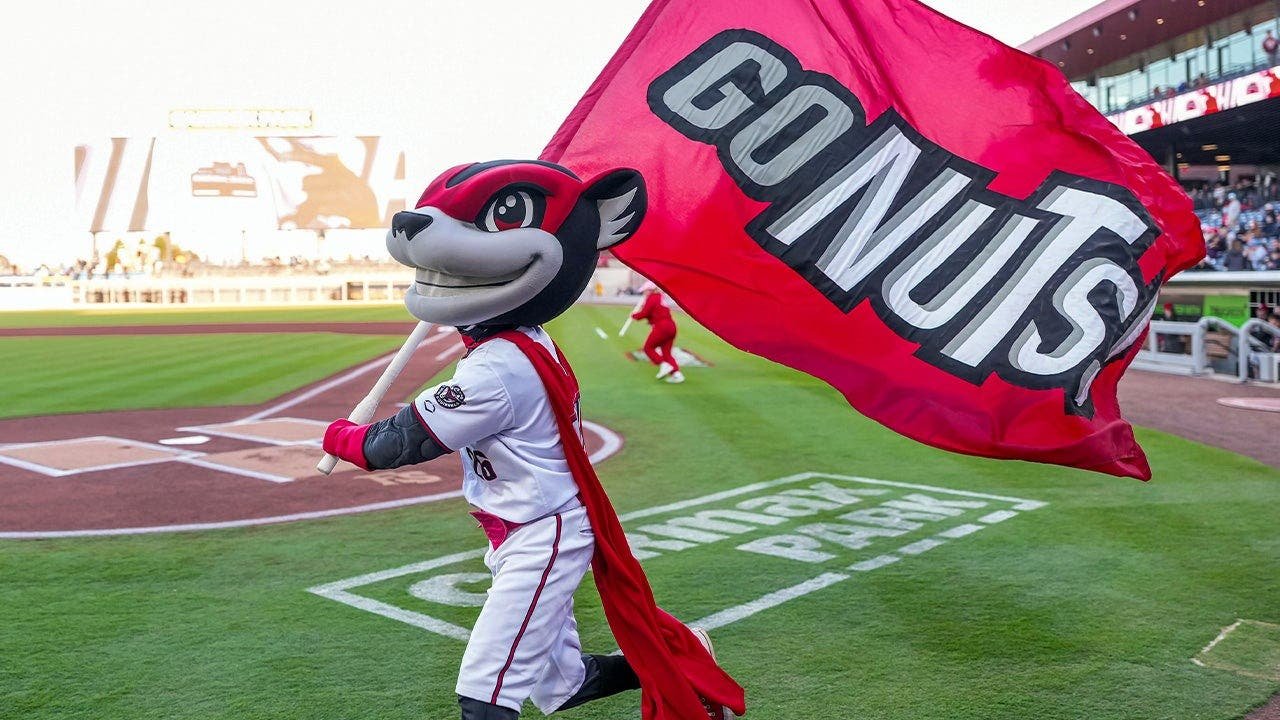Read more about the article Minor league baseball team’s fireworks go awry and send fans scrambling for cover in viral video