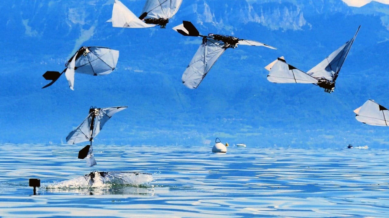 Read more about the article MIT and EPFL build robot bird that flies, dives and swims underwater