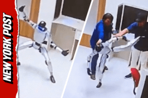 Read more about the article Rogue robot launches kung fu kicks, while handlers attempt to subdue it (Video)