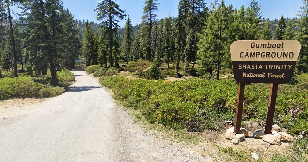 Read more about the article California Forest Service workers taken hostage, held at gunpoint in remote trailer, feds say