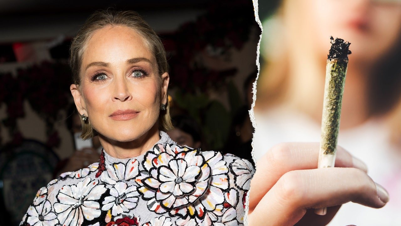 You are currently viewing Sharon Stone’s cannabis withdrawal symptoms explained by a doctor
