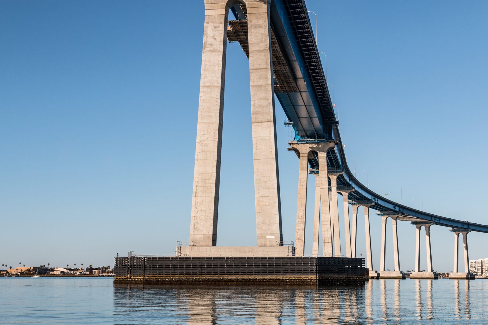 Read more about the article Coronado Is America’s Deadliest Bridge. AI to the Rescue?