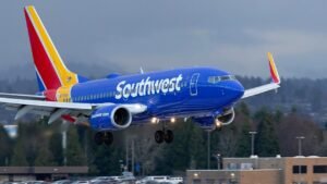 Read more about the article Southwest Airlines flight attendant arrested by ICE for visa overstay