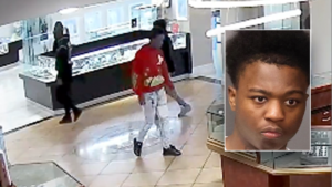 Read more about the article California teen arrested for alleged jewelry theft hours after jail release