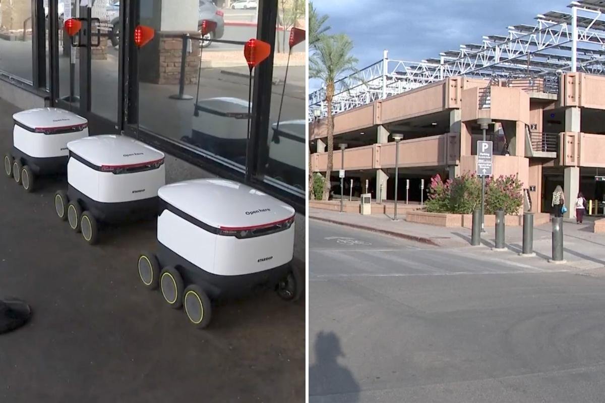 You are currently viewing Arizona woman sues after food delivery robot attack