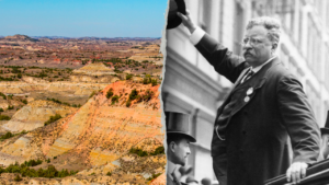 Read more about the article Congress urged to pass public lands fund with foreign visitor fee