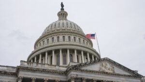 Read more about the article The radical left wants to demolish our Constitution. We must stop them