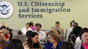 Read more about the article Trump administration skips asylum interviews to cut immigration backlog