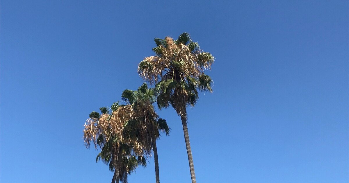 Read more about the article San Diego County warming trend could bring heat risk