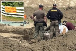 Read more about the article California animal rescue owner with 117 dead dogs found in mass grave unleashes on ‘Gestapo’ cops