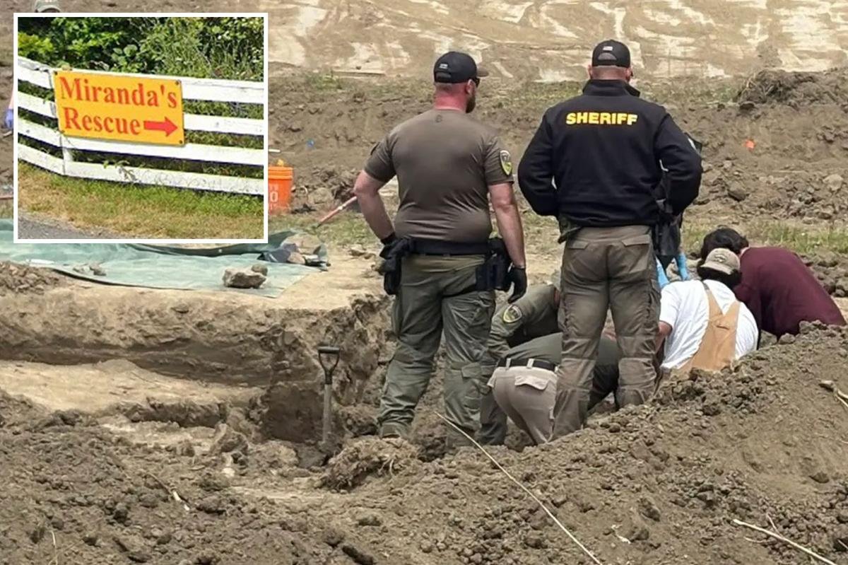 Read more about the article California animal rescue owner with 117 dead dogs found in mass grave unleashes on ‘Gestapo’ cops