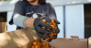 Read more about the article ‘Kids are actually eating the food’: State expands lunch program that pairs schools with farms