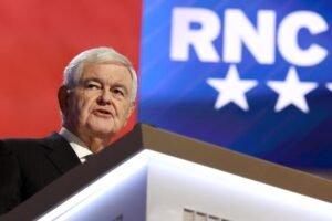 Read more about the article Gingrich tells senators to exploit ‘weird’ socialist values to win big in November