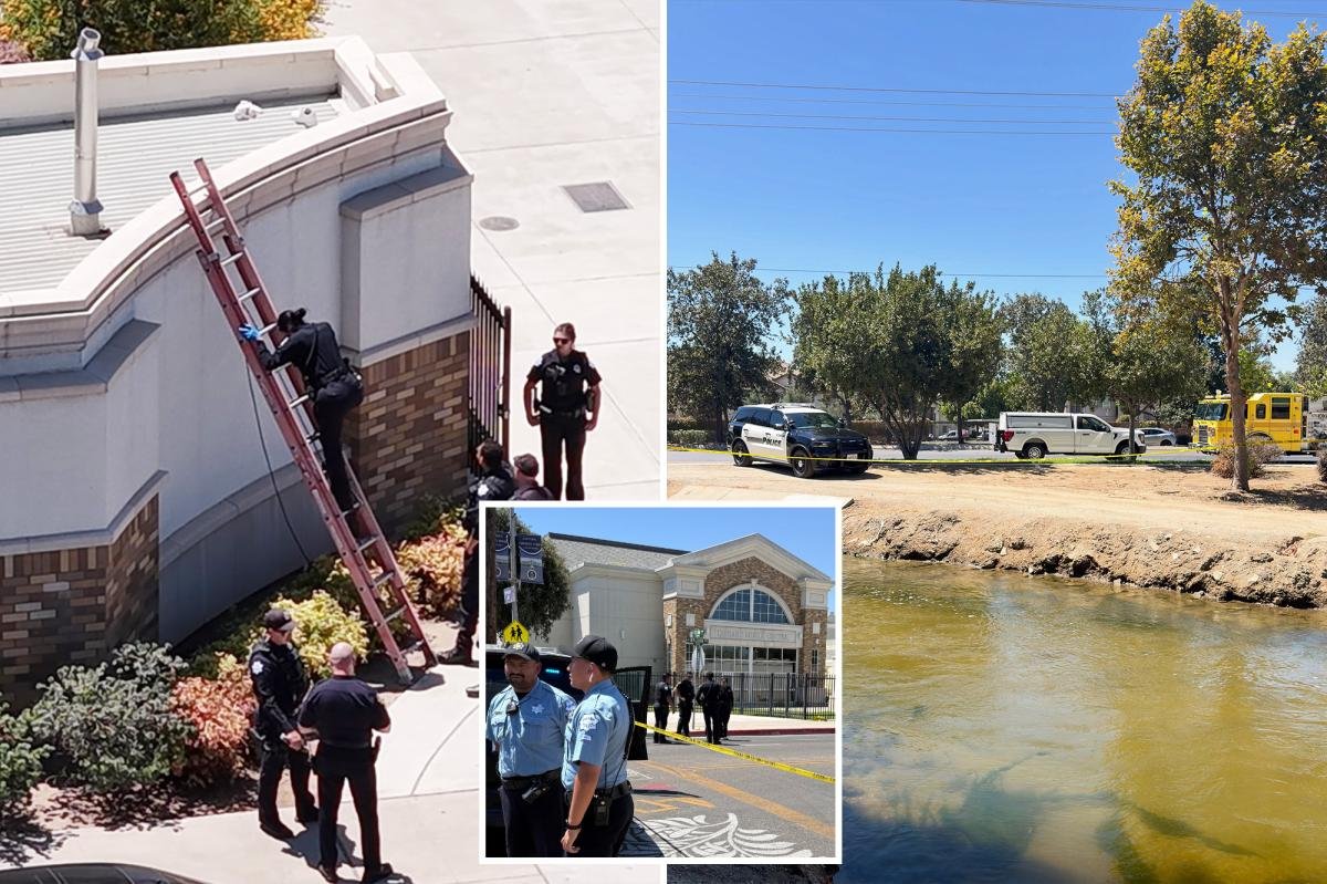 You are currently viewing California city rocked by pair of strange deaths as bodies discovered high and low