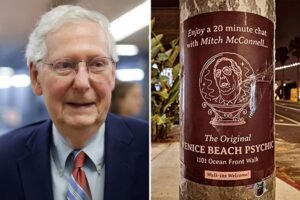 Read more about the article California psychicâs cringe ad offering âchatâ with hospitalized Mitch McConnell