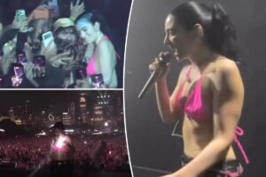 Read more about the article Lorde forced to pause Lollapalooza show after multiple fans pass out in crowd