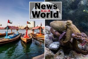 Read more about the article News of the World: What you missed this week internationally