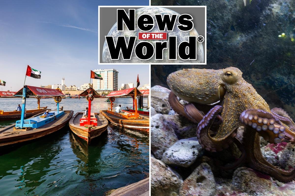 Read more about the article News of the World: What you missed this week internationally