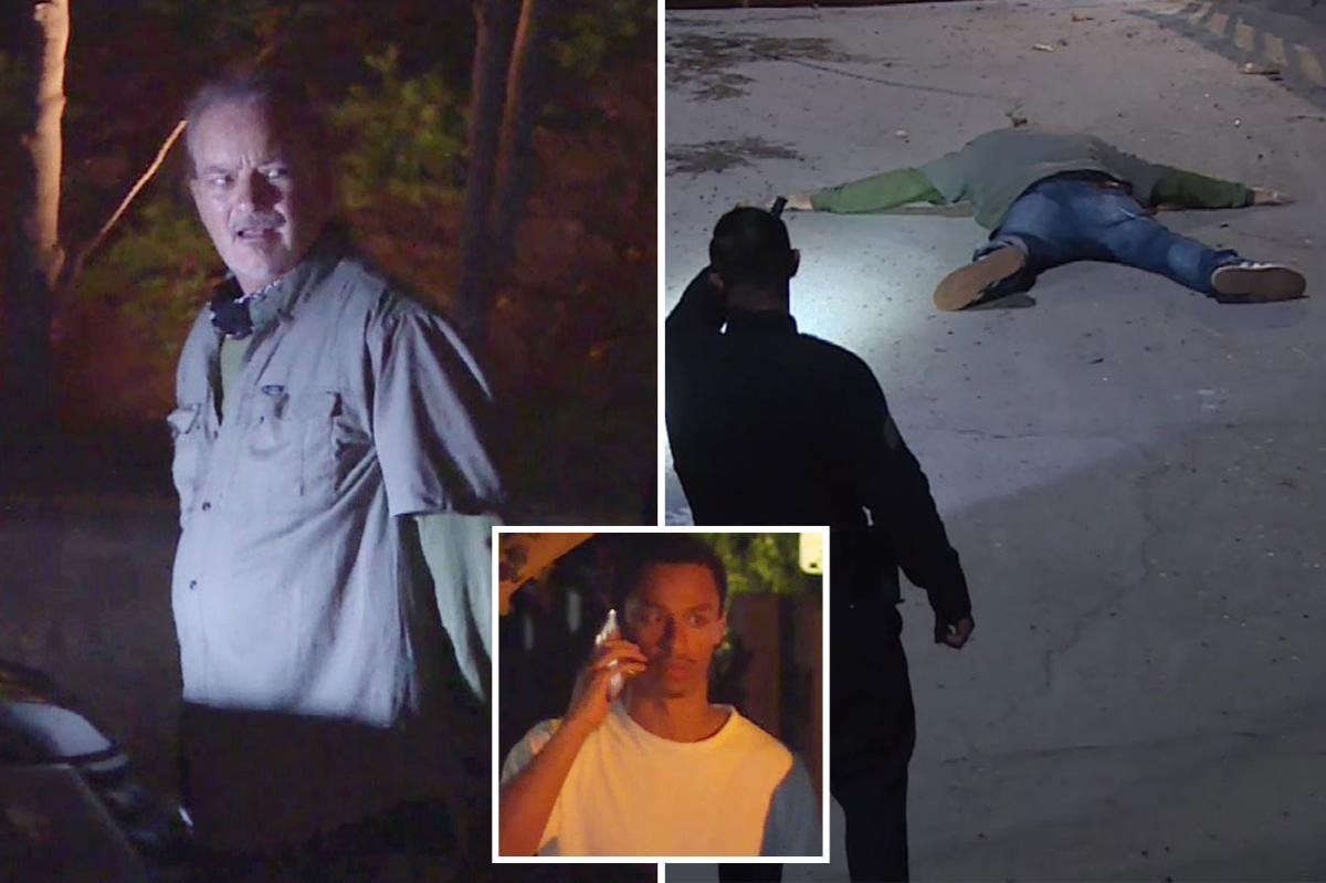 You are currently viewing Creepy moment man with a dog is caught prowling Hollywood star Nia Long’s Hollywood Hills mansion