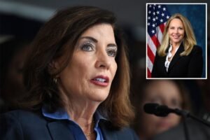 Read more about the article Gov. Who-chul? Long Island Dems don’t mention Hochul on election websites