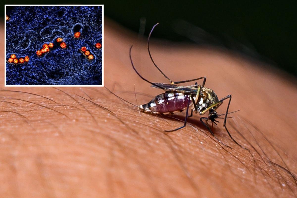 You are currently viewing West Nile Virus turns deadly in California as officials issue update