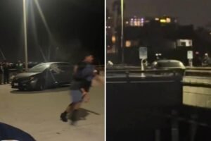 Read more about the article Wild moment car drives onto Venice Pier sparking panic among beachgoers