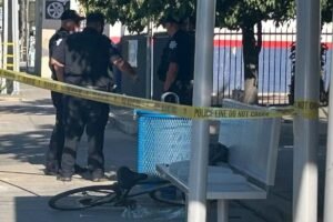 Read more about the article Rush hour horror as hatchet-wielding maniac hacks bicyclist in California
