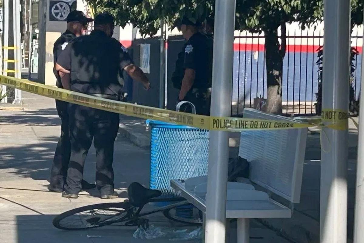 You are currently viewing Rush hour horror as hatchet-wielding maniac hacks bicyclist in California
