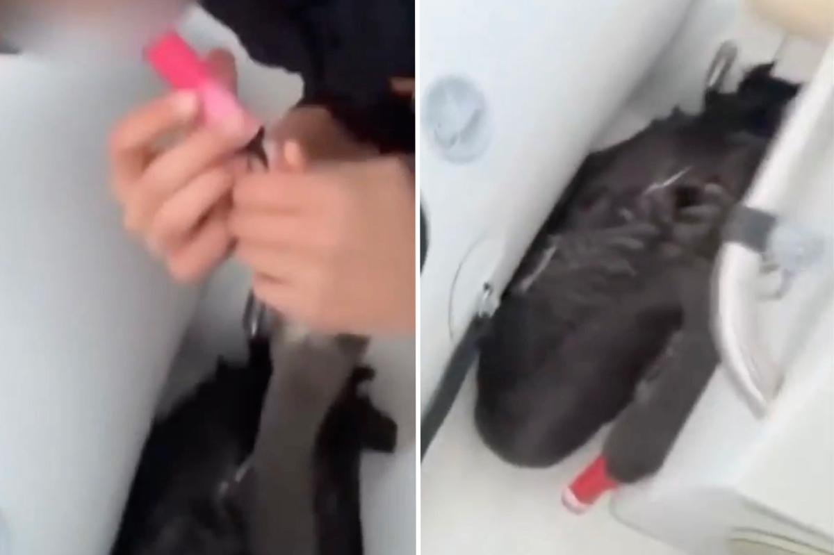 You are currently viewing Teens force swan to vape, post the evidence online