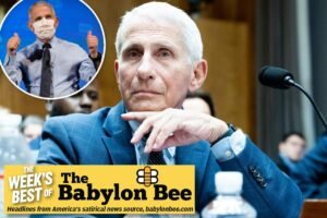 Read more about the article Best of the Babylon Bee: Man who took nation’s constitutional rights claims protection by constitutional right