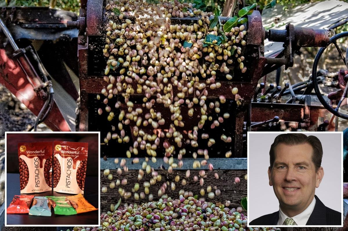 You are currently viewing Pistachio prices skyrocket after California crop disaster