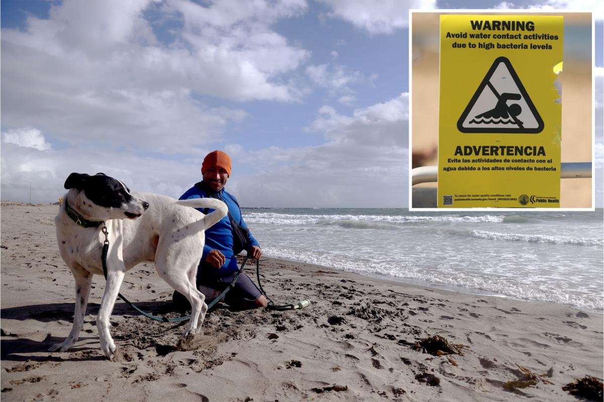 You are currently viewing Alert out for five popular Los Angeles County beaches as bacteria levels spike