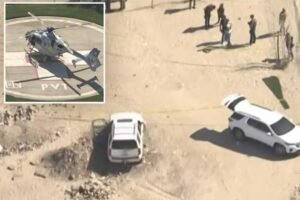 Read more about the article LA County deputy ambushed and wounded after shooting in California desert