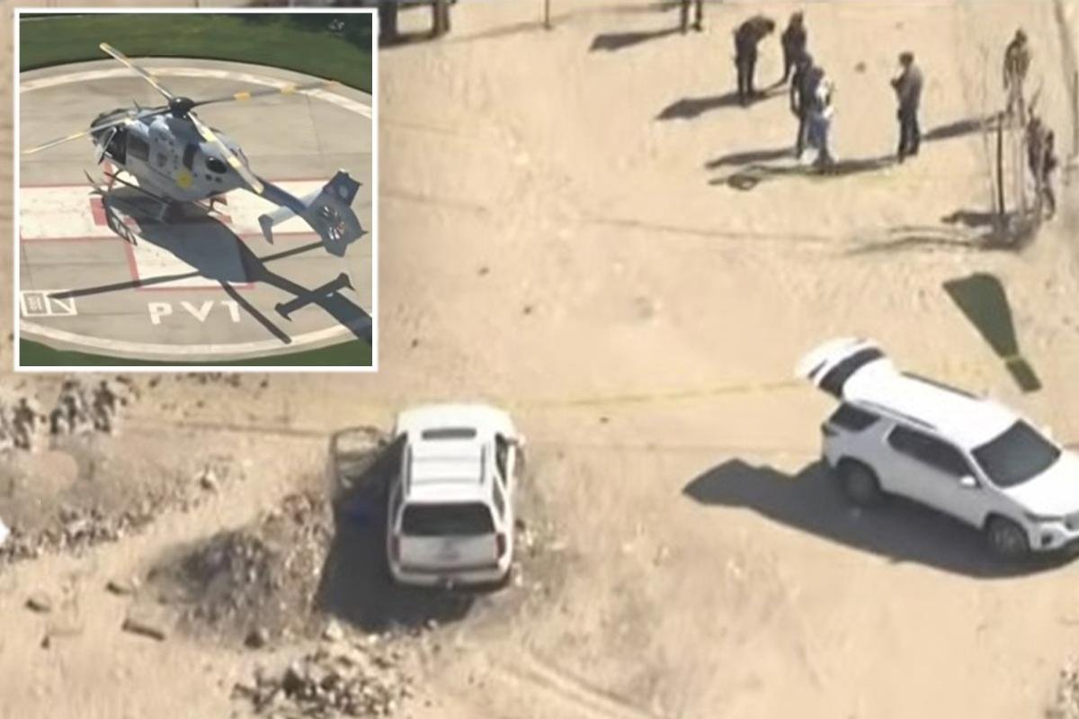 You are currently viewing LA County deputy ambushed and wounded after shooting in California desert