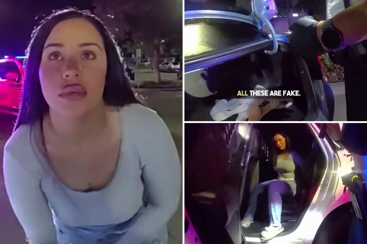 You are currently viewing Canadian driver allegedly gave false name before deputies discovered 12 fake IDs: bodycam