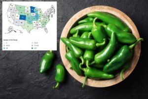 Read more about the article New diarrhea-causing outbreak spreads to more than half the US — prompting Chipotle to change menu