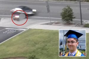 Read more about the article Jealous rage caught on camera as Costco worker allegedly kills coworker on motorcycle